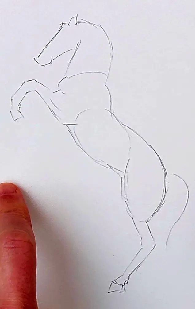 cum desenez un cal naravas pas 1
