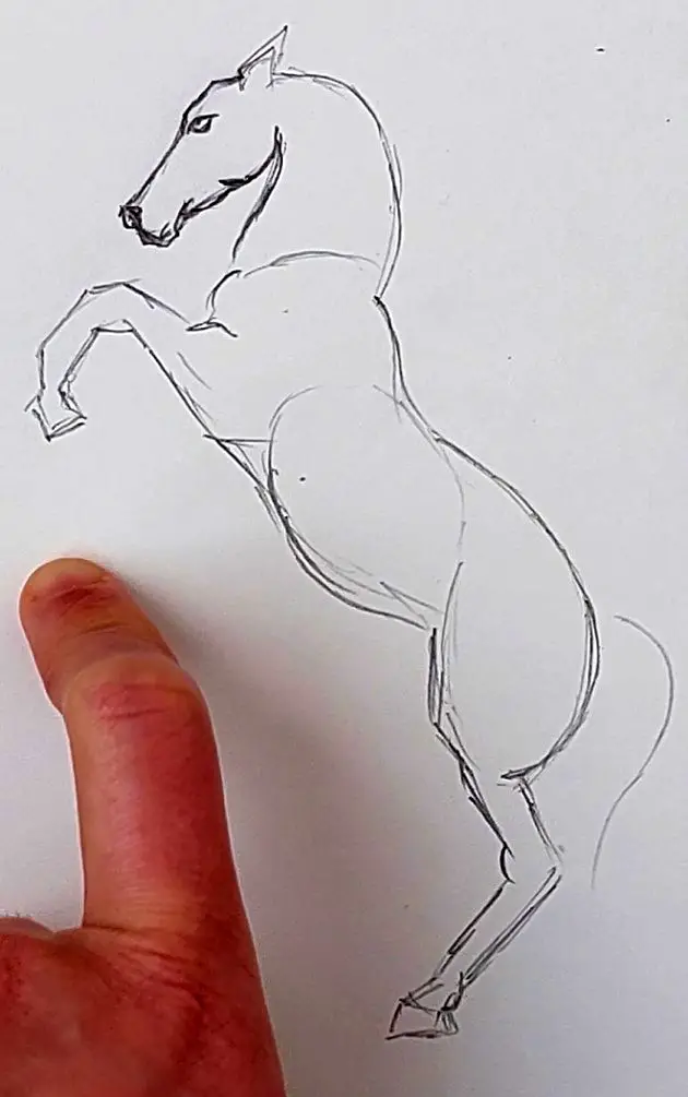 cum desenez un cal naravas pas 2