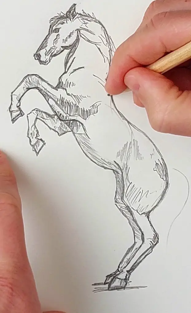 cum desenez un cal naravas pas 4
