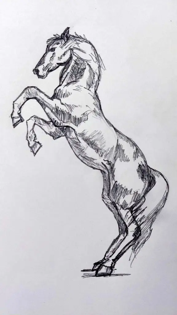 cum desenez un cal naravas pas 5
