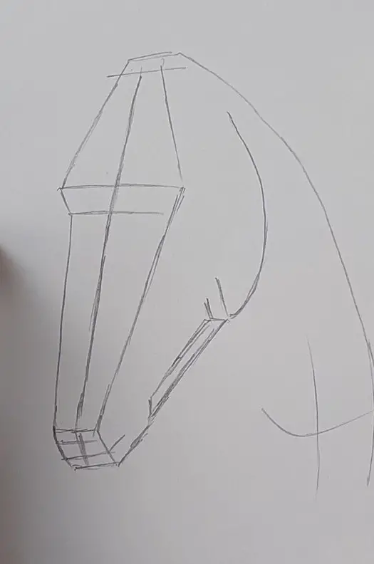 cum desenez un cal pas 1