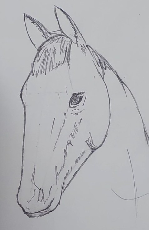 cum desenez un cal pas 3